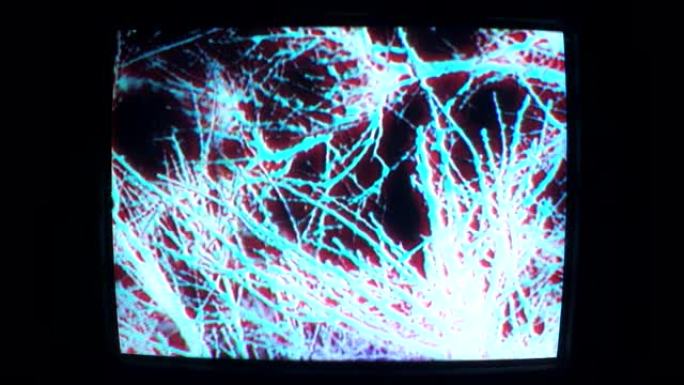 黑白树枝摇摆synthwave失真抽象图案旧电视模拟静态噪声管屏幕