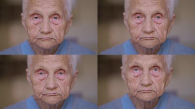 灰色眼睛看着相机的老妇人的特写前视。在室内摆姿势的悲伤严肃的白种人白发退休人员的头像。
