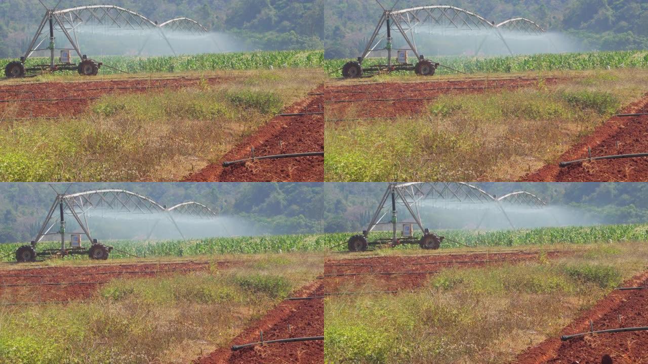 洒水，灌溉设备，农业洒水器用太阳能电池板浇灌农作物。