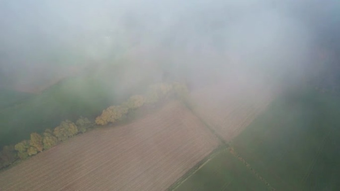 在耕地上方的云层中飞行。飞入云层的摄像机视图。在云中飞行。阳光普照的云。版本5