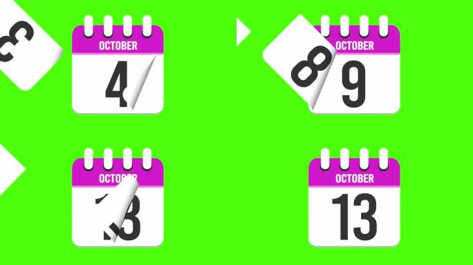 10月13日。日历出现，页面下降到10月13日。绿色背景，色度键 (4k循环)