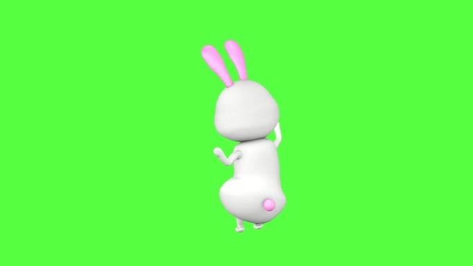 一只可爱的兔子的3D角色在绿屏背景上滑稽跳舞。3D循环动画。