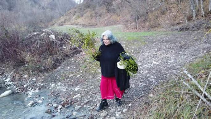 4k镜头，一位老妇人拿着植物走在小溪上