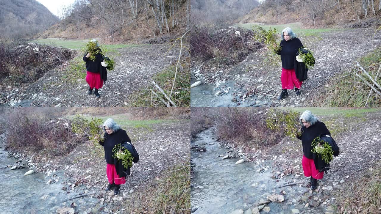 4k镜头，一位老妇人拿着植物走在小溪上