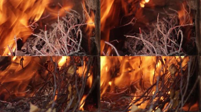 枯干的树枝燃烧，高热有红色火焰。几乎可以看到火灾