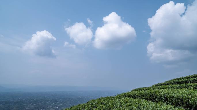 纳溪茶山延时  白云延时  4k