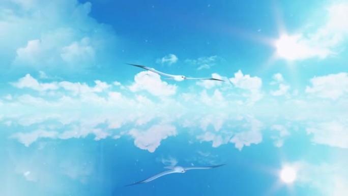 信天翁在充满白云的天空中飞行 -- 抽象循环景观背景