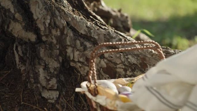 装有复活节彩蛋的篮子在森林里，靠近一棵大松树，我脱下了覆盖鸡蛋的白毛巾。特写。