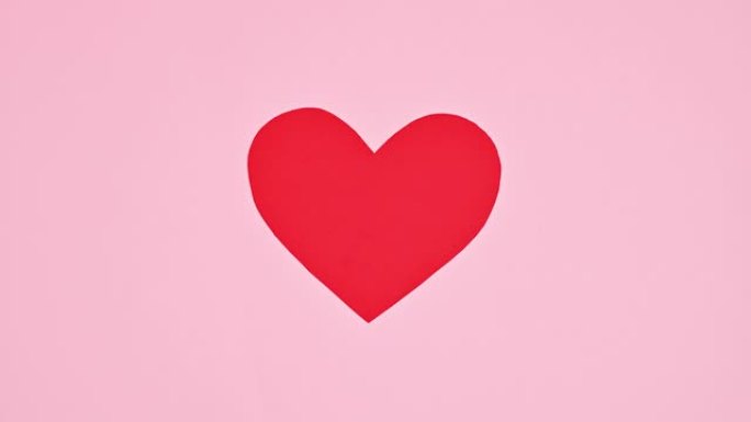 柔和的粉红色背景上的两颗心脏连接在一起。平躺。停止运动