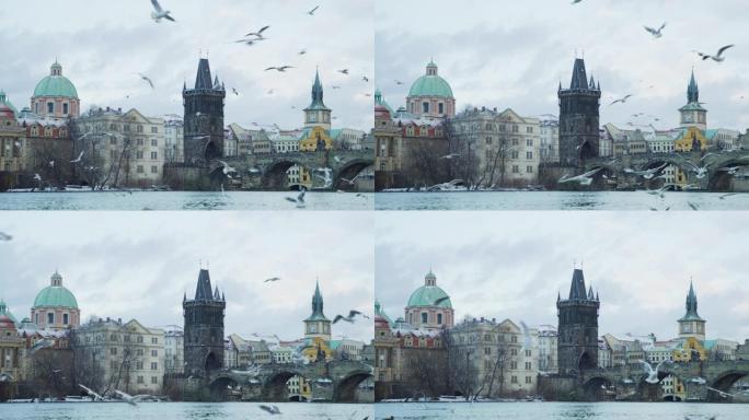 在布拉格飞行的海鸥，靠近老城桥塔