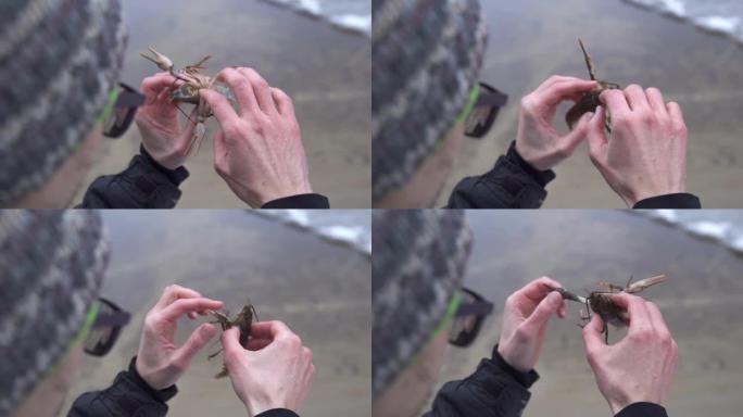 一个人手里拿着一个生活在河流中的甲壳类动物。