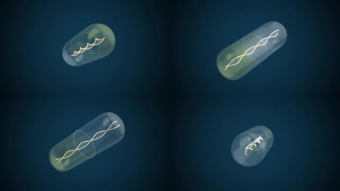 带有DNA医学概念的药丸