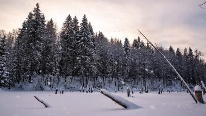 美丽的冬季风景，相机向湖边左移。美丽的降雪