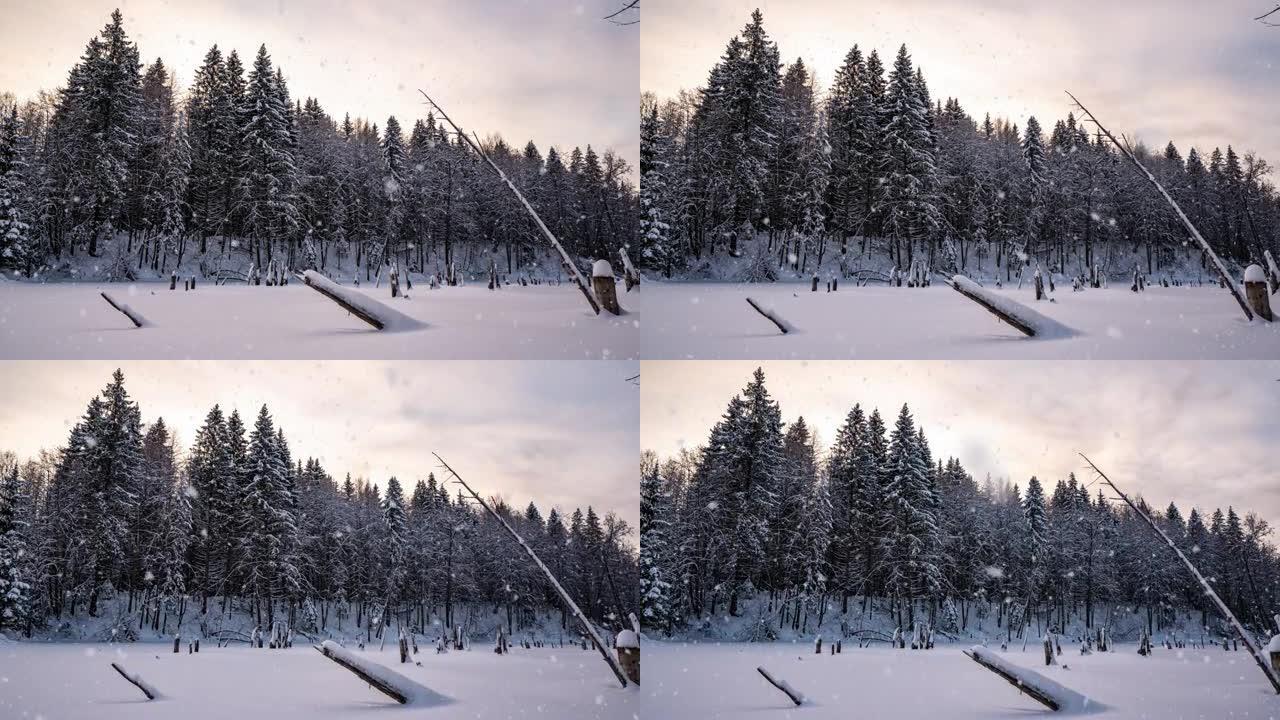 美丽的冬季风景，相机向湖边左移。美丽的降雪