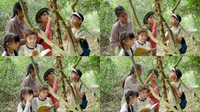 亚洲女教师正在带学生走上自然之路，从真实的地方、教育理念、冒险中学习自然。