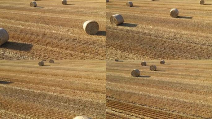 无人机拍摄的麦田里的干草卷