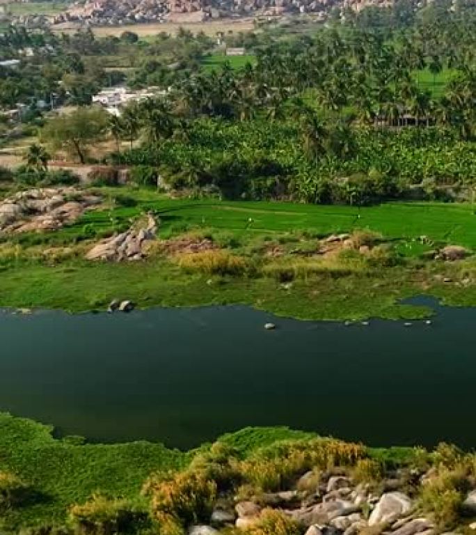 带有田野，村庄，椰子树和巨石山的河流空中拍摄的垂直视频