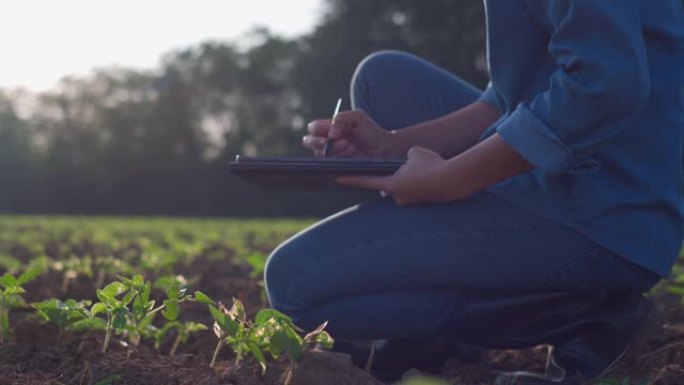 农民在农场使用数字平板电脑