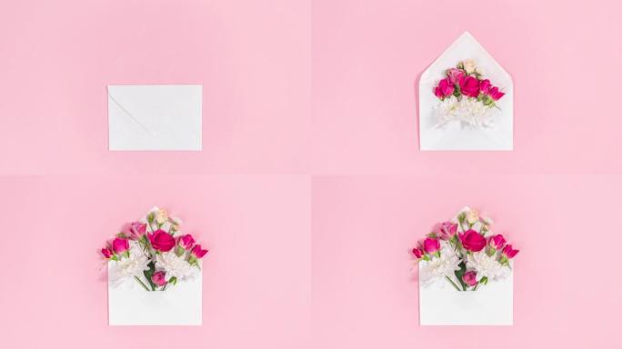 天然的红色和白色花朵芽从打开的白色信封中露出。粉色背景。