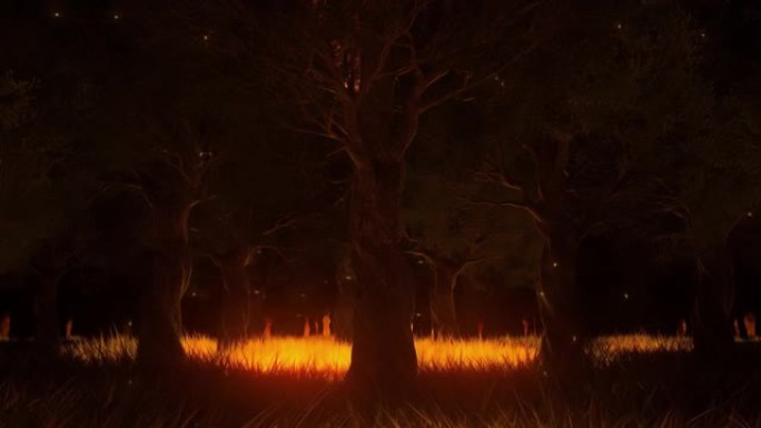 萤火虫在神奇的发光森林循环幻想自然景观背景
