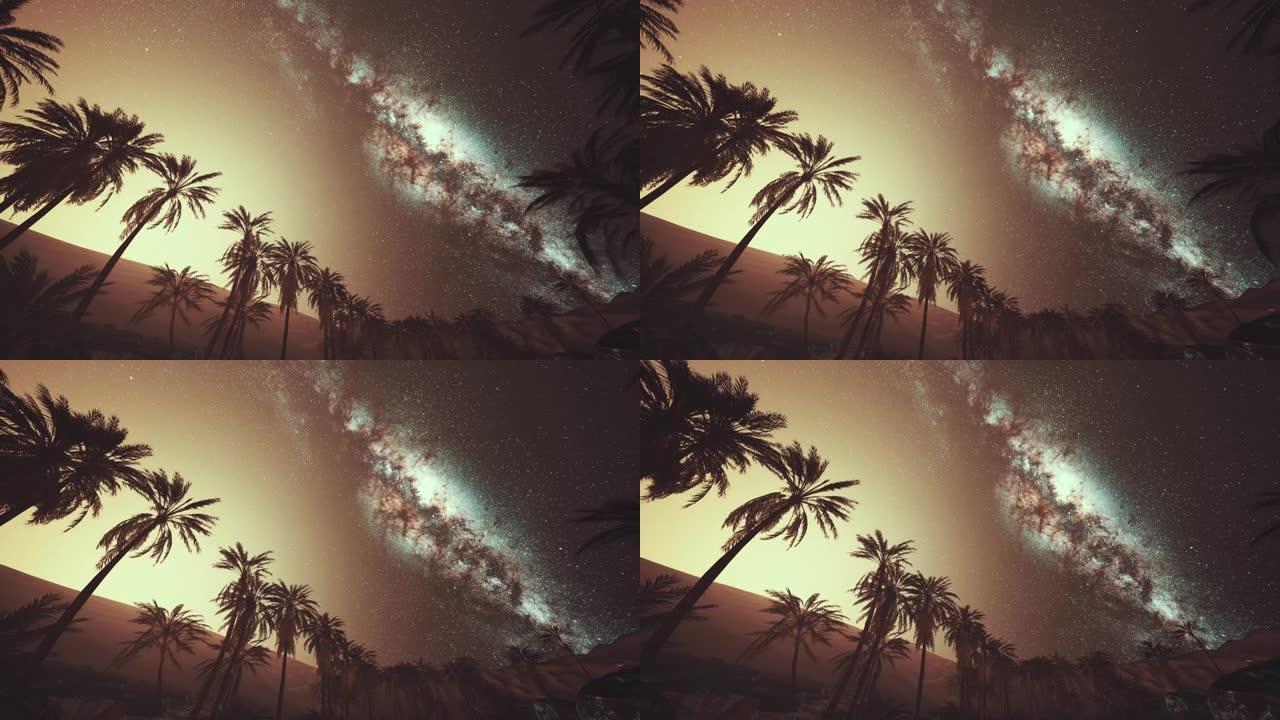 夜景与剪影小屋和椰子树与银河系在天空