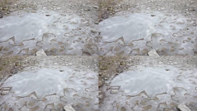 爱沙尼亚地面上有岩石的冰