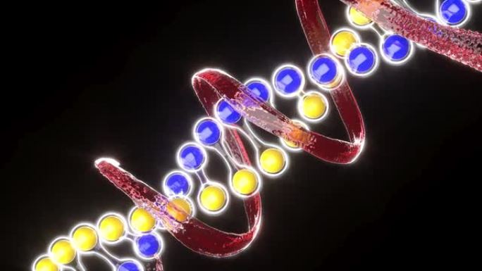 乌克兰血液DNA模型围绕黑色背景上的螺旋动画4k