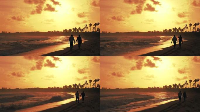 日落时，夫妇沿着热带海滩和棕榈树散步的轮廓的慢动作。