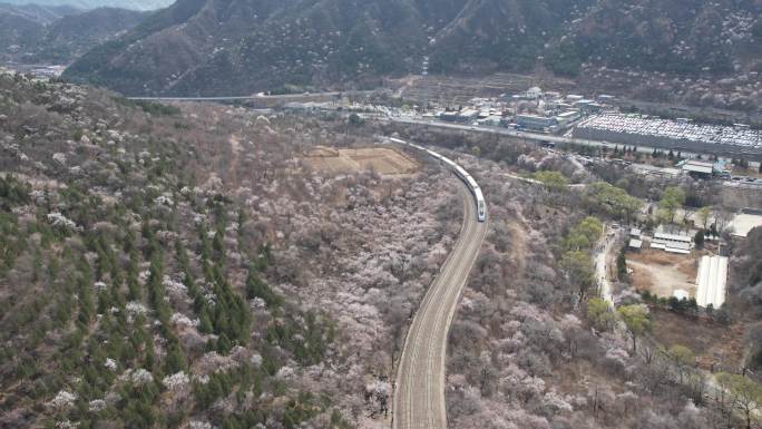 居庸关长城花海列车