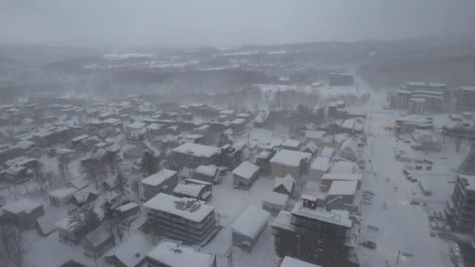 日本新雪谷