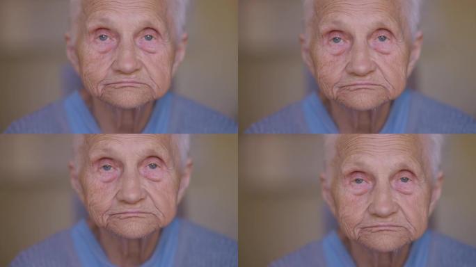 在室内摆姿势的高级女性退休人员的特写脸。正面视图是严肃的白人老妇人的头像，灰色的眼睛和灰色的头发看着