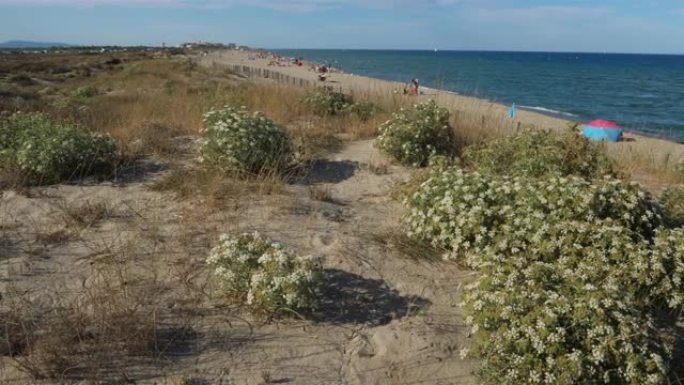 法国欧西塔尼比利牛斯东方部，Canet en Roussillon和圣塞浦路斯人之间的海滩