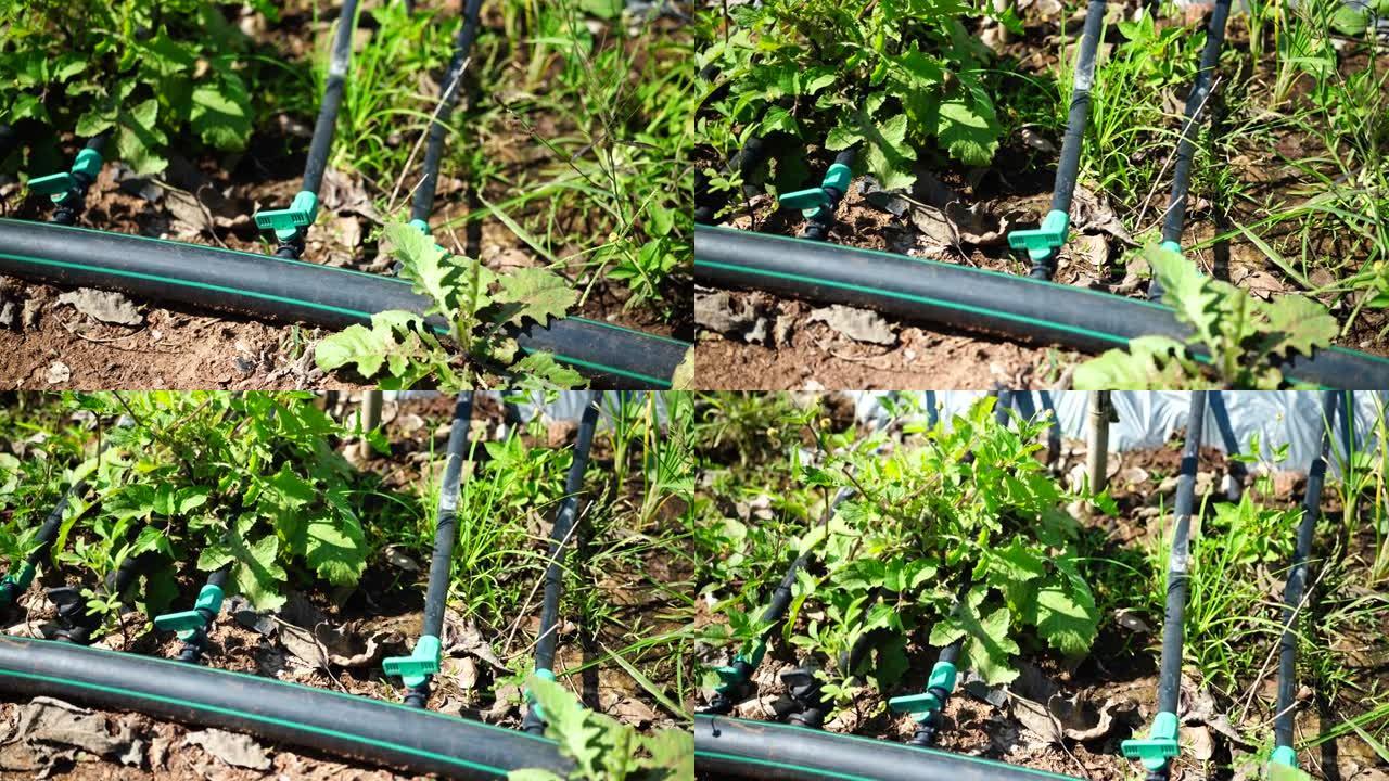 灌溉系统或草地上塑料水管的连接