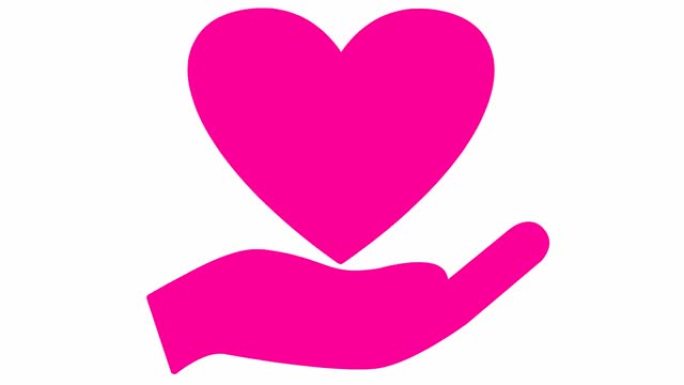 手掌上有动画粉红色的心脏。循环的心跳视频。慈善、健康、医学的概念。矢量插图孤立在白色背景上。