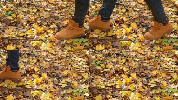 穿红鞋的人走过秋天的森林。黄色干燥落叶上的橙色靴子。
