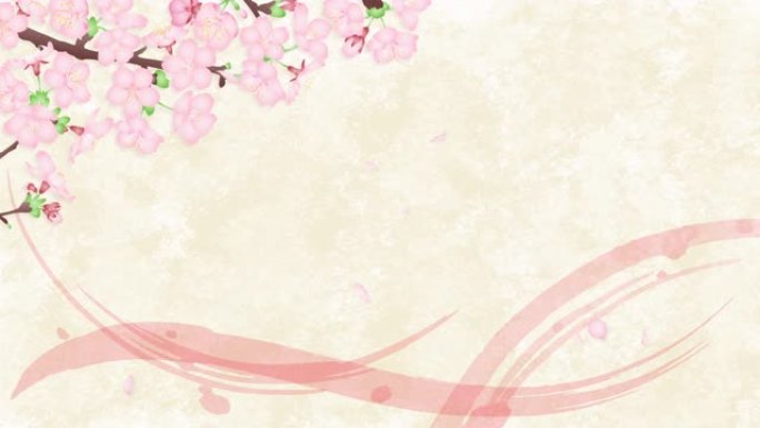 摇曳樱花落花瓣，日式背景循环动画4k视频素材。