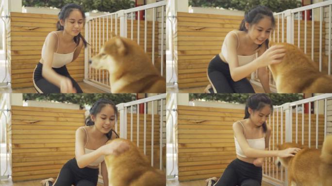 亚洲女女孩在咖啡馆餐厅与狗或小狗微笑玩耍的肖像。宠物动物。人们的生活方式。