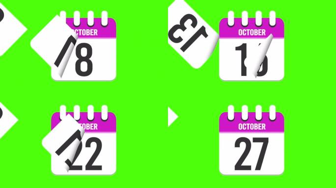 10月27日。日历出现，页面下降到10月27日。绿色背景，色度键 (4k循环)