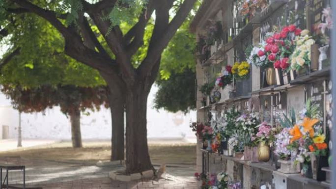 西班牙公墓。树木之间的坟墓。花岗岩平板和花朵。花岗岩墓地墓碑。版本12
