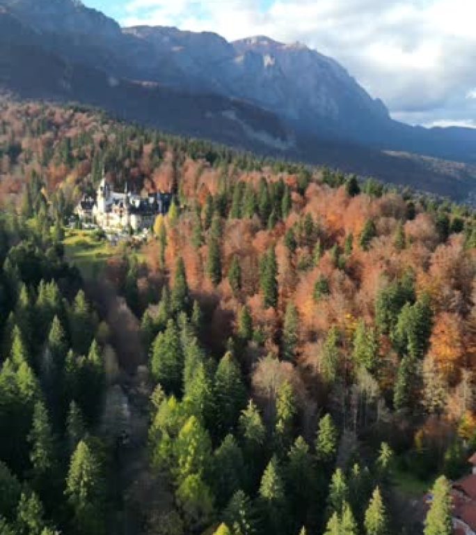 罗马尼亚锡纳亚Peles城堡附近美丽的秋天森林的鸟瞰图