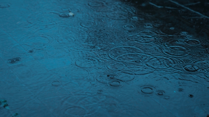 下雨谷雨雨天雨水清明古建筑锦鲤