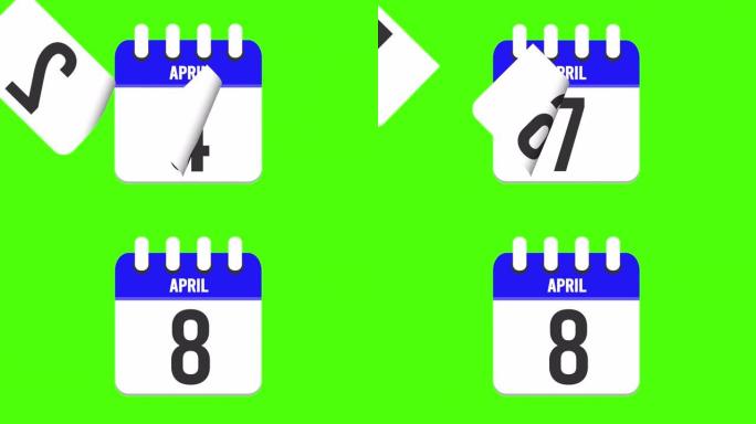 4月8日。日历出现，页面下降到4月8日。绿色背景，色度键 (4k循环)