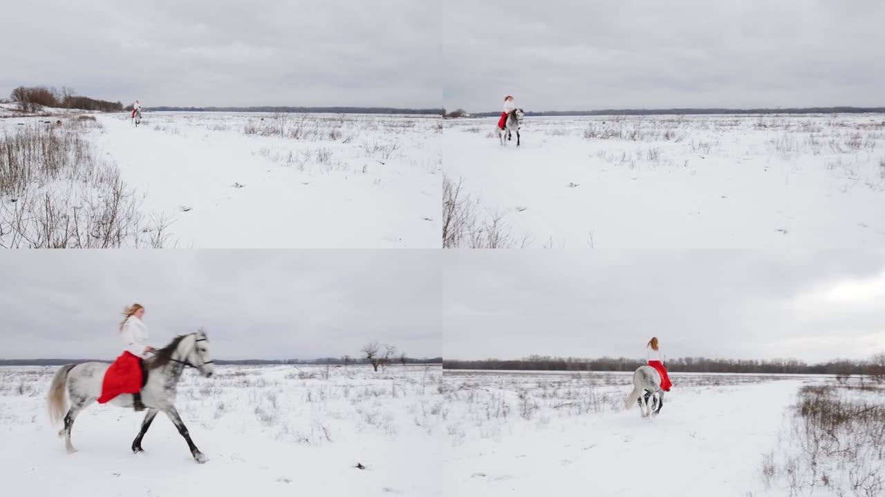 穿着红色连衣裙的女子骑师在冬天的田野里骑着奔腾的马-慢动作