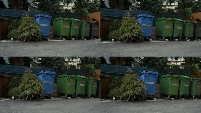 假期后垃圾桶旁边废弃的圣诞树。