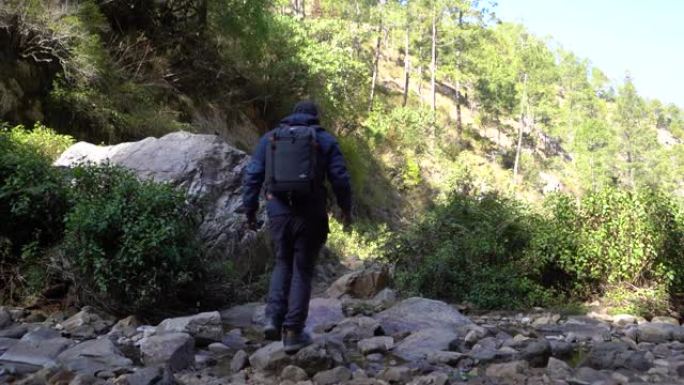 年轻的时髦旅行者，年轻的男孩旅行和探索丛林。男孩背着背包离开相机。