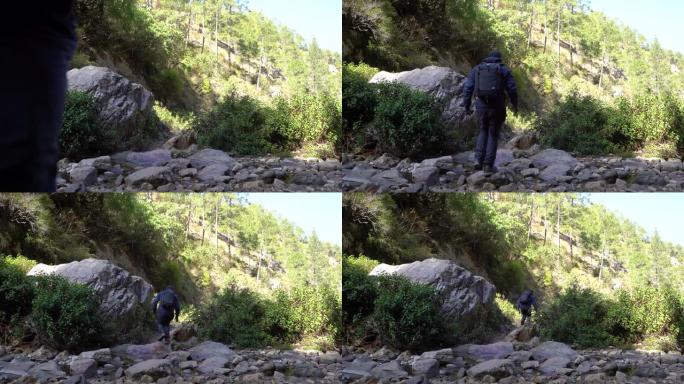 年轻的时髦旅行者，年轻的男孩旅行和探索丛林。男孩背着背包离开相机。