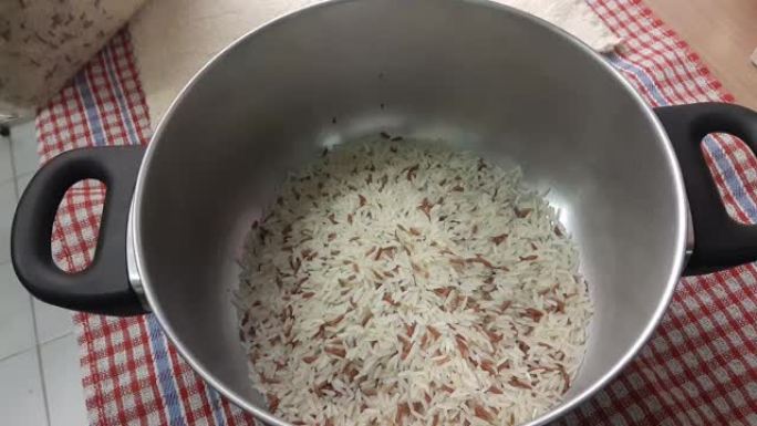 糙米和白米中的稻米象鼻虫的镜头