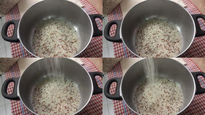糙米和白米中的稻米象鼻虫的镜头