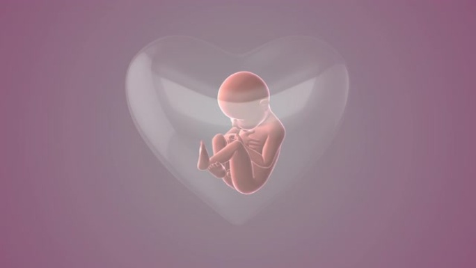 胎儿在子宫内的心脏形状