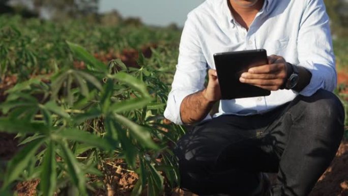 农民在田间用数字平板电脑